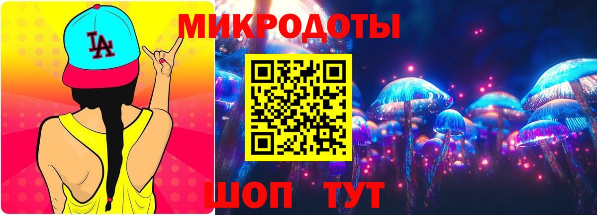 Нарткала  хочу   Вход с VPN  Псилоцибиновые грибы Psilocybine cubensis 